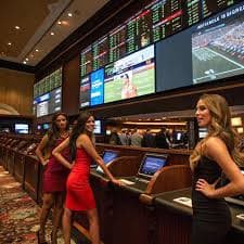 wpt global