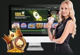 wpt global